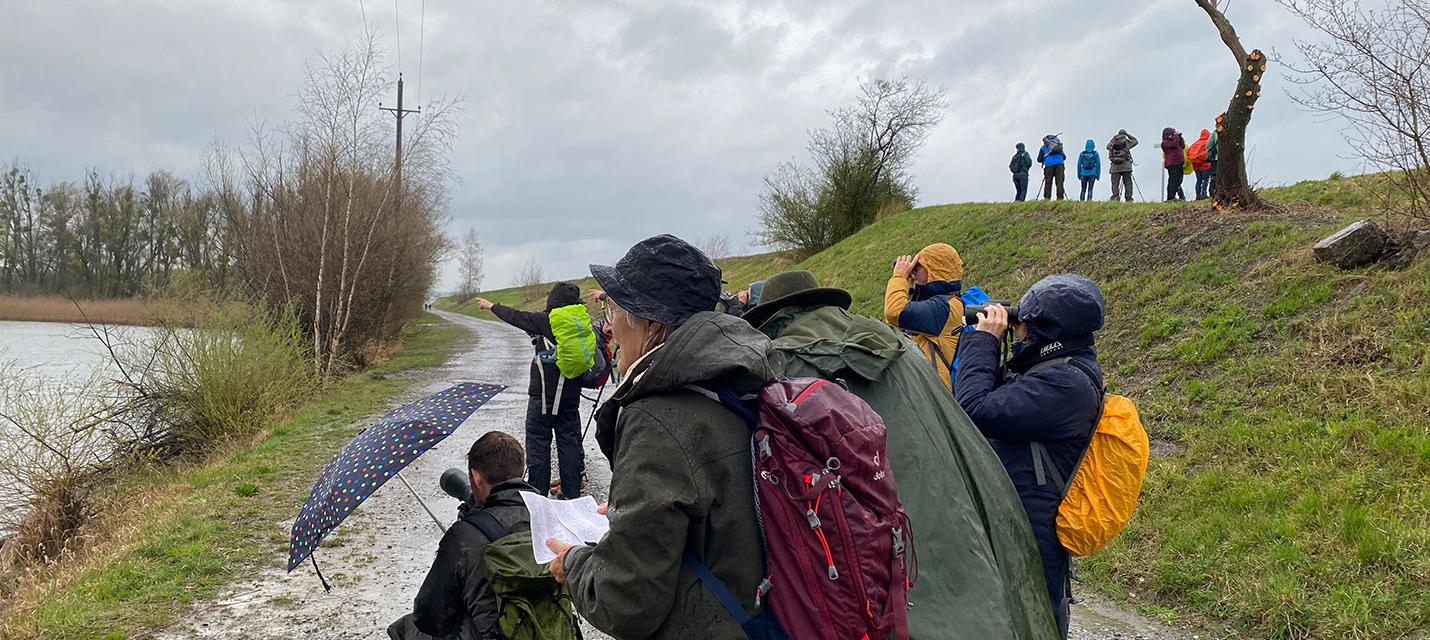 Zwei Gruppen auf Vogelschau beim Lagunen-Rundweg